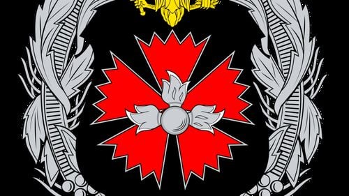 "Copiii Războiului": O campanie de propagandă având legături cu Moscova încearcă să erodeze sprijinul Germaniei pentru Ucraina (Reuters)