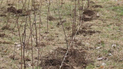 De ce au fost achitați într-un dosar de fraudă cu fonduri europene constructorii din Galați care au făcut și calea ferată de la Gara de Nord la aeroportul Otopeni