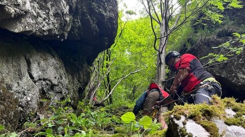 Turist rătăcit în Munţii Gutâi, recuperat de salvamontişti  / Are 26 de ani și e epuizat după ce s-a rătăcit