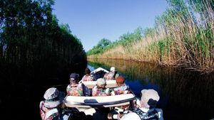 Ministrul Turismului: Numărul turiştilor străini care au vizitat România a crescut cu 90% în primele nouă luni ale anului / Se pregătește programul prin care se dau 40 de euro pentru agenţiile care aduc turişti străini în țară pentru minimum patru nopţi