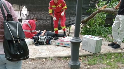 Femeie rănită de o creangă, în timp ce trecea prin Parcul Pedagogic din Craiova / ”Noi am toaletat cât am putut, dar este un parc vechi”