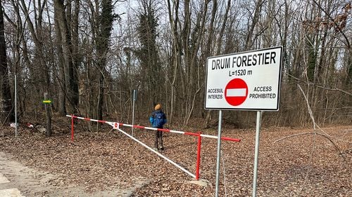 Romsilva a refuzat să facă public contractul semnat cu Federația Greenfield pentru accesul auto pe drumul forestier din Pădurea Băneasa / Drumul rămâne închis