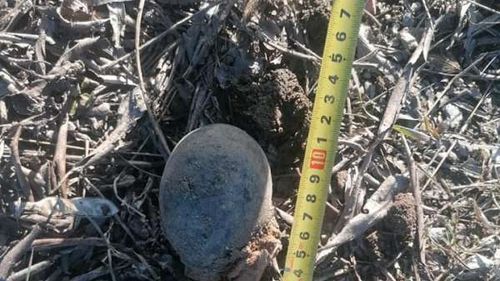Sibiu: Un localnic a descoperit o grenadă din Al Doilea Război Mondial, în curtea casei sale