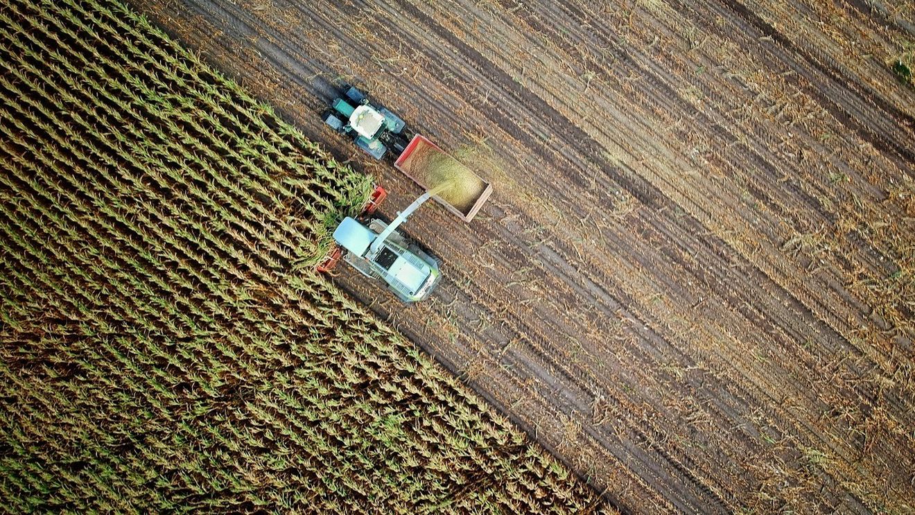 2,78 miliarde euro autorizate la plată în cadrul Campaniei 2022, anunță APIA