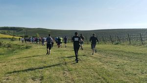 VIDEO FOTO Aproape 1.000 de alergători, printre vii la Petrovaselo: trail, vreme perfectă și gulaș la final