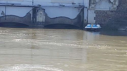 Hidrobicicletă furată, plutind în derivă pe Bega, descoperită de şalupa Poliţiei Locale