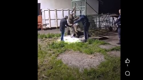 Un urs a fost capturat în incinta Şcolii de Agenţi de Poliţie de la Câmpina, într-o cuşcă special amplasată, urmând să fie relocat