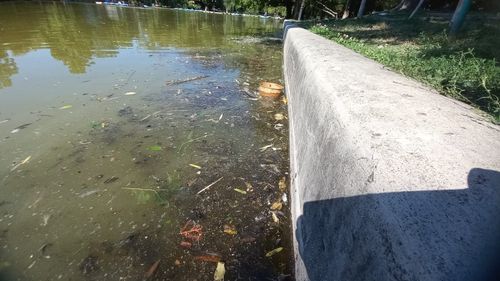 Amendă de 20.000 de lei pentru spaţiile verzi neîntreţinute din Parcul Cișmigiu / Protecţia Consumatorului, amendă de 20.000 de lei