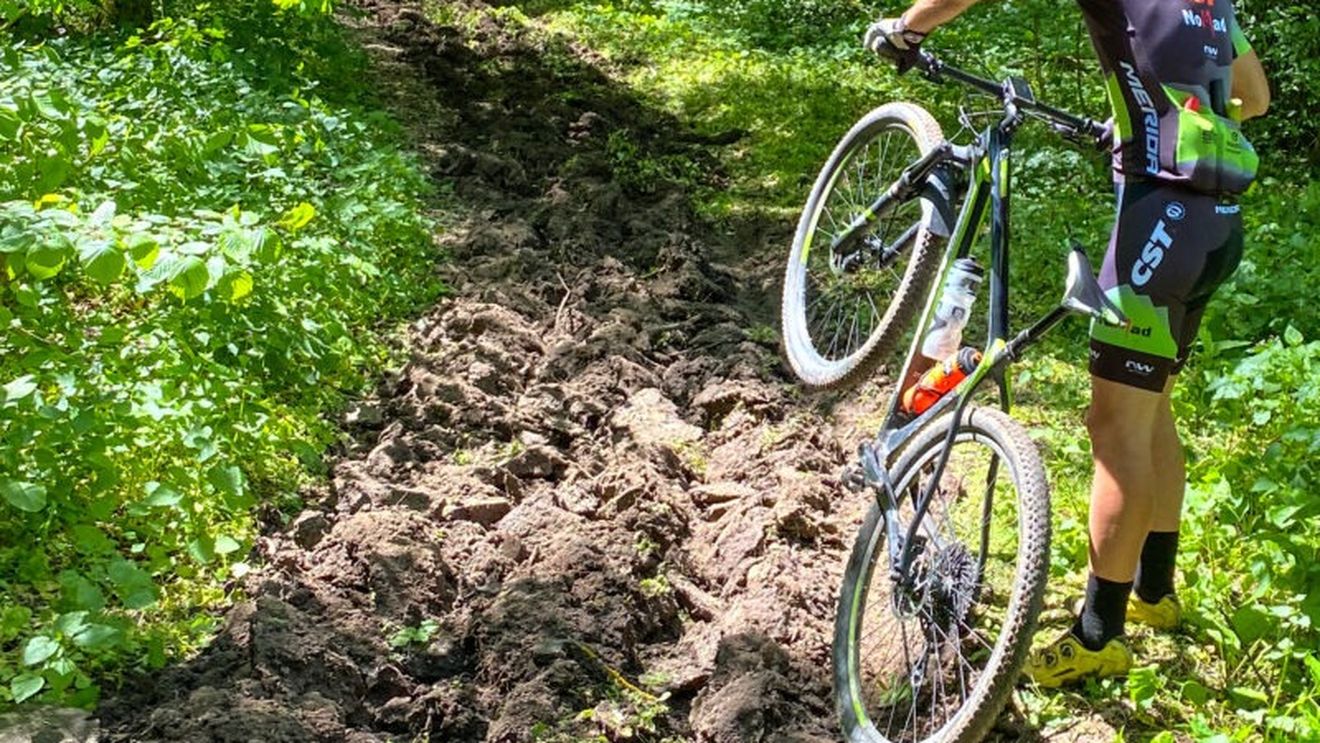 VIDEO Romsilva Ilfov a arat cu plugul poteci pe care se desfăşoară cel mai mare concurs internaţional de ciclism cross country din estul Europei, acuză activistul de mediu Alex Găvan