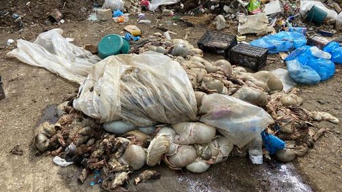 Stare de alertă declarată în județul Maramureș/ Tratarea și depozitarea deșeurilor vor fi asigurate timp de șase luni de operatori din Oradea