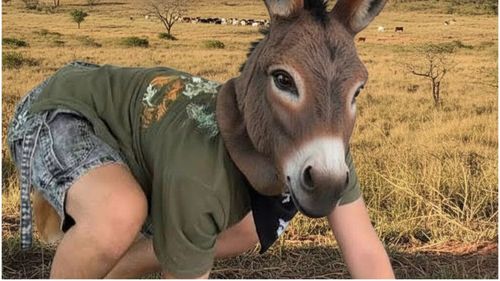 Identificarea ca animale a devenit trend pe social media: adolescenții se cred câini, pisici sau vulpi pentru validare (VIDEO)