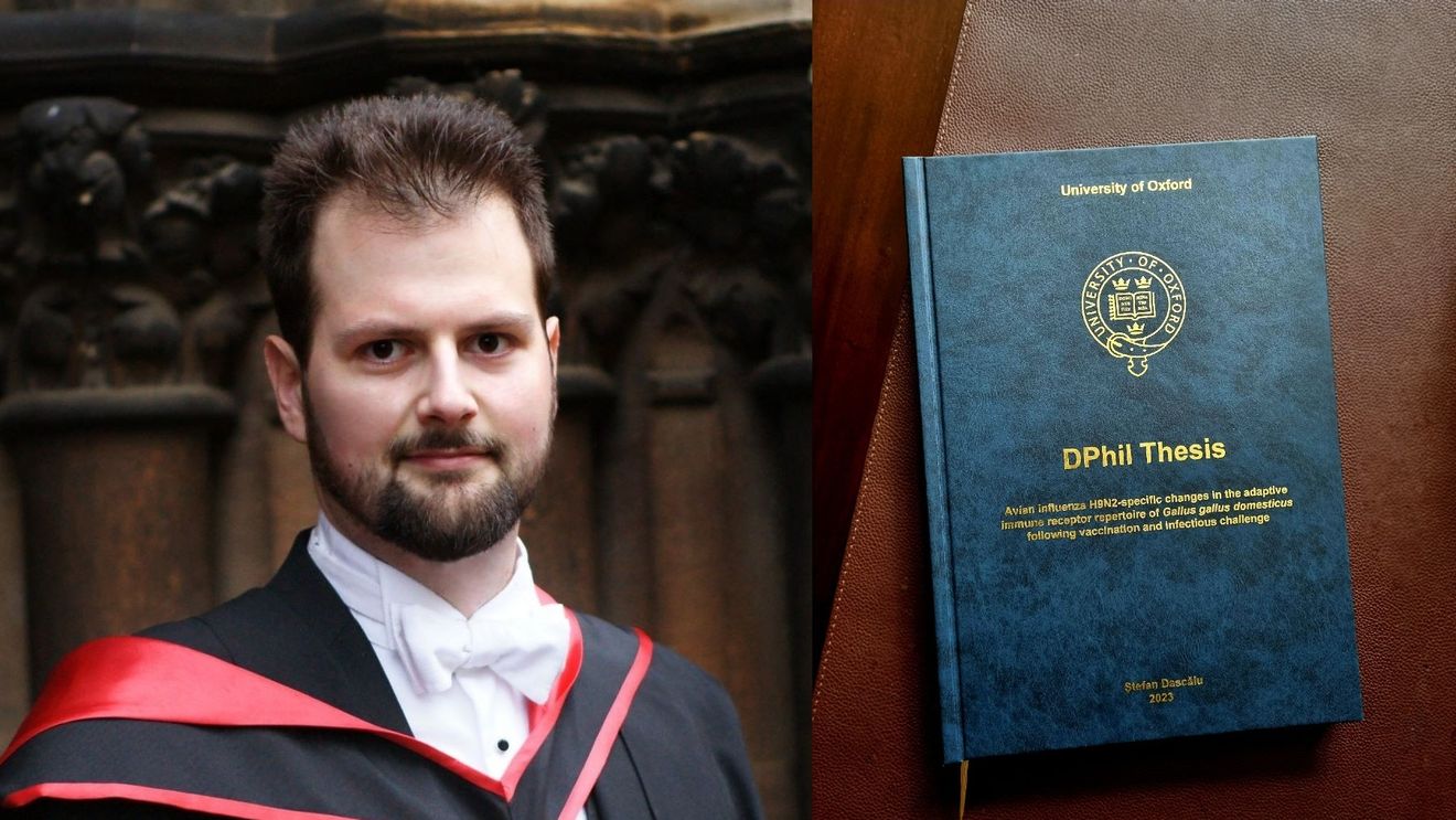 Ce presupune să faci un doctorat în Marea Britanie, la Universitatea Oxford? Confesiunea unui imunolog român stabilit în Londra, despre pandemia de ”doctori” și plagiate din țara natală