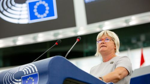 Șefa delegației FIDESZ în Parlamentul European: În fruntea UE se află puţini politicieni din Europa Centrală şi de Est / 90% dintre persoanele cu funcții de conducere au fost numite din Europa de Vest și de Sud
