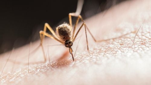 Un studiu identifică modul în care malaria poate duce la apariția cancerului la copii