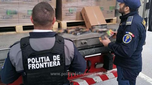 Percheziții în mai multe locații: Aproape 330 de tone de tutun neprelucrat a fost introdus ilegal din Bulgaria în România prin 64 de transporturi