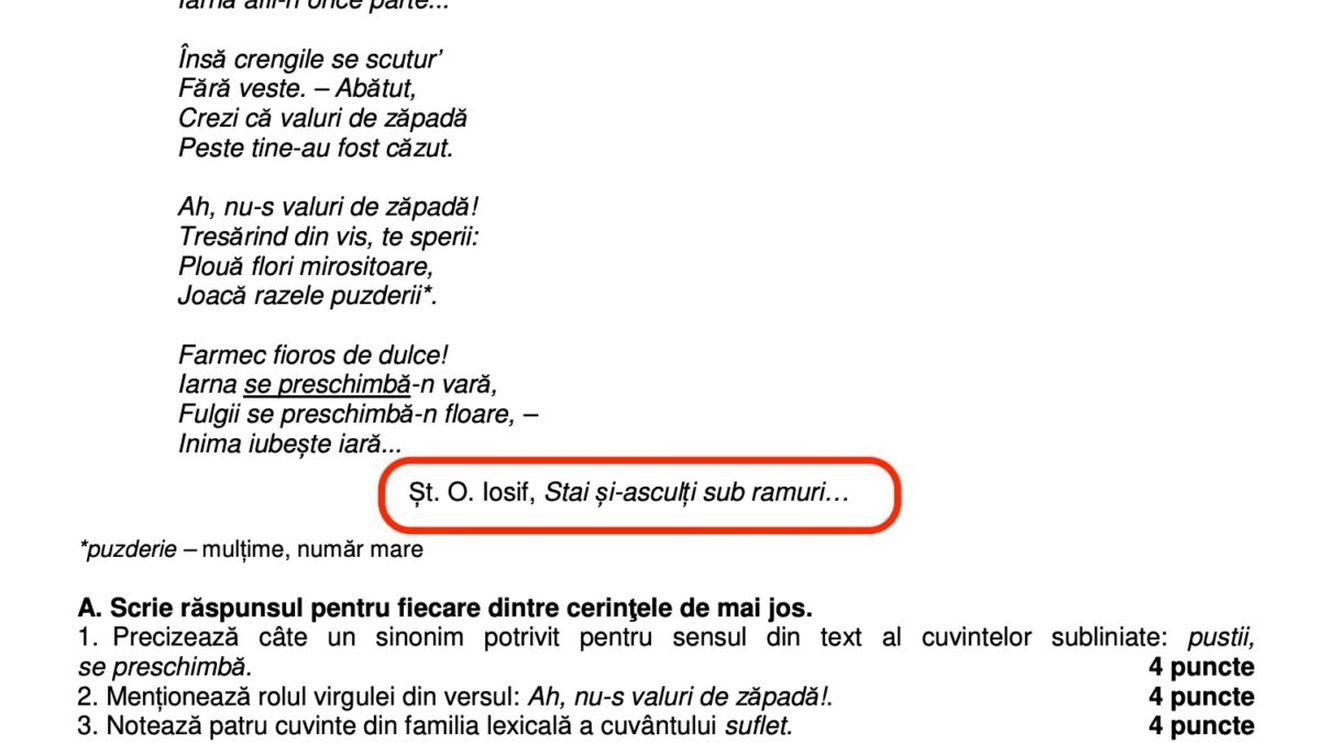 Greșeală în subiectele de la română: O poezie a lui Heinrich Heine a fost atribuită lui Șt. O. Iosif / “Malpraxis pedagogic în întocmirea subiectelor de examen” – HotNews.ro