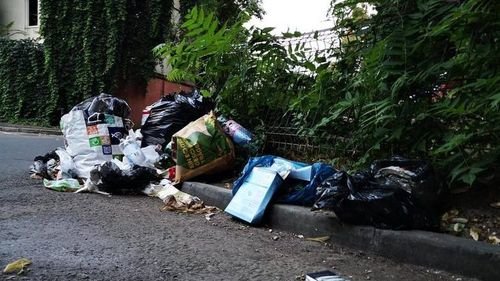 Primarul Radu Mihaiu: Avem 273 de "puncte fierbinţi" în Sectorul 2. Zone în care suntem nevoiţi să strângem gunoiul de 4-5 ori pe zi. Locuri în care mojicia şi nesimţirea transformă oraşul în groapă de gunoi