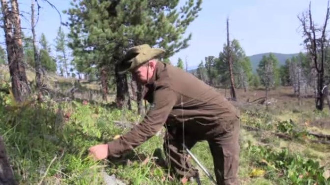 O nouă emisiune propagandistică dedicată lui Putin, în plină criză de imagine: Președintele Rusiei este prezentat culegând ciuperci în Siberia sau stând de vorbă cu minerii și cu elevii