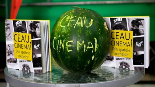 Ceau, Cinema! - din „festival de buzunar” în cel mai important festival de film din Timișoara. Se consumă lubeniță în loc de popcorn