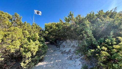 Emmanuel Macron în Corsica: cum a devenit autonomia insulei o problemă-cheie în doar câteva luni pentru președintele Franței