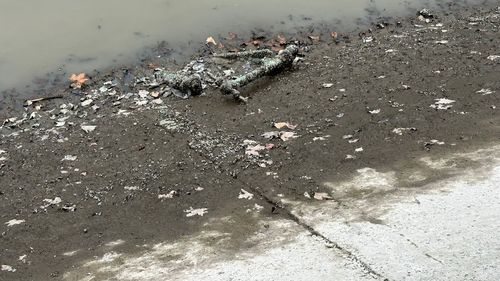 Mai multe bariere plutitoare, menite să oprească deşeurile, ar putea fi instalate pe Dâmboviţa / O barieră similară montată anul trecut a făcut posibilă colectarea a aproximativ 80 de kilograme de deşeuri.