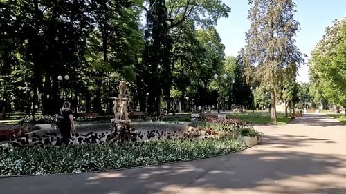 Două persoane au fost rănite după ce o creangă a căzut peste ele, în Parcul Copou din Iași