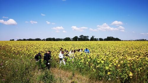 13 polițiști cu două detectoare de metal au reluat căutările telefonului Luizei