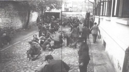 "Bărbații erau împușcați, iar cei care așteptau să fie împușcați au primit ordin să curețe sângele din curte" - mărturie a unei supraviețuitoare a Pogromului de la Iași, 29 iunie 1941