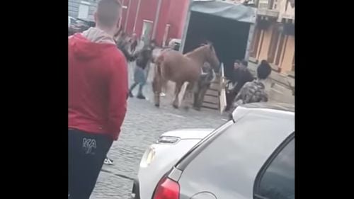 Cal bătut la parada junilor din Brașov. Polițiștii fac cercetări. Junii se delimitează de incident