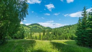 EXCLUSIV Un samsar de păduri a obținut sechestru pe toate mașinile Prefecturii și ale Direcției Silvice Vrancea. Sechestru și pe mașini de filaj ale Ministerului de Interne - surse