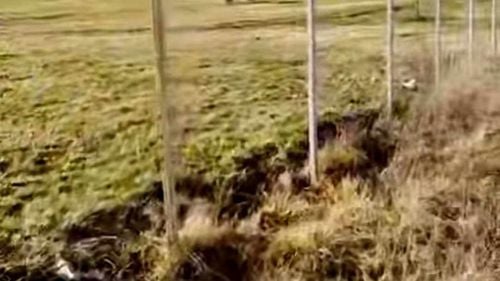 A fost furat în Oravița gardul unui parc pentru copii / Primăria: ”Nu ne-am imaginat vreodată că hoții ar putea ajunge atât de disperați” / Lipsa acestuia pune în pericol siguranța copiilor