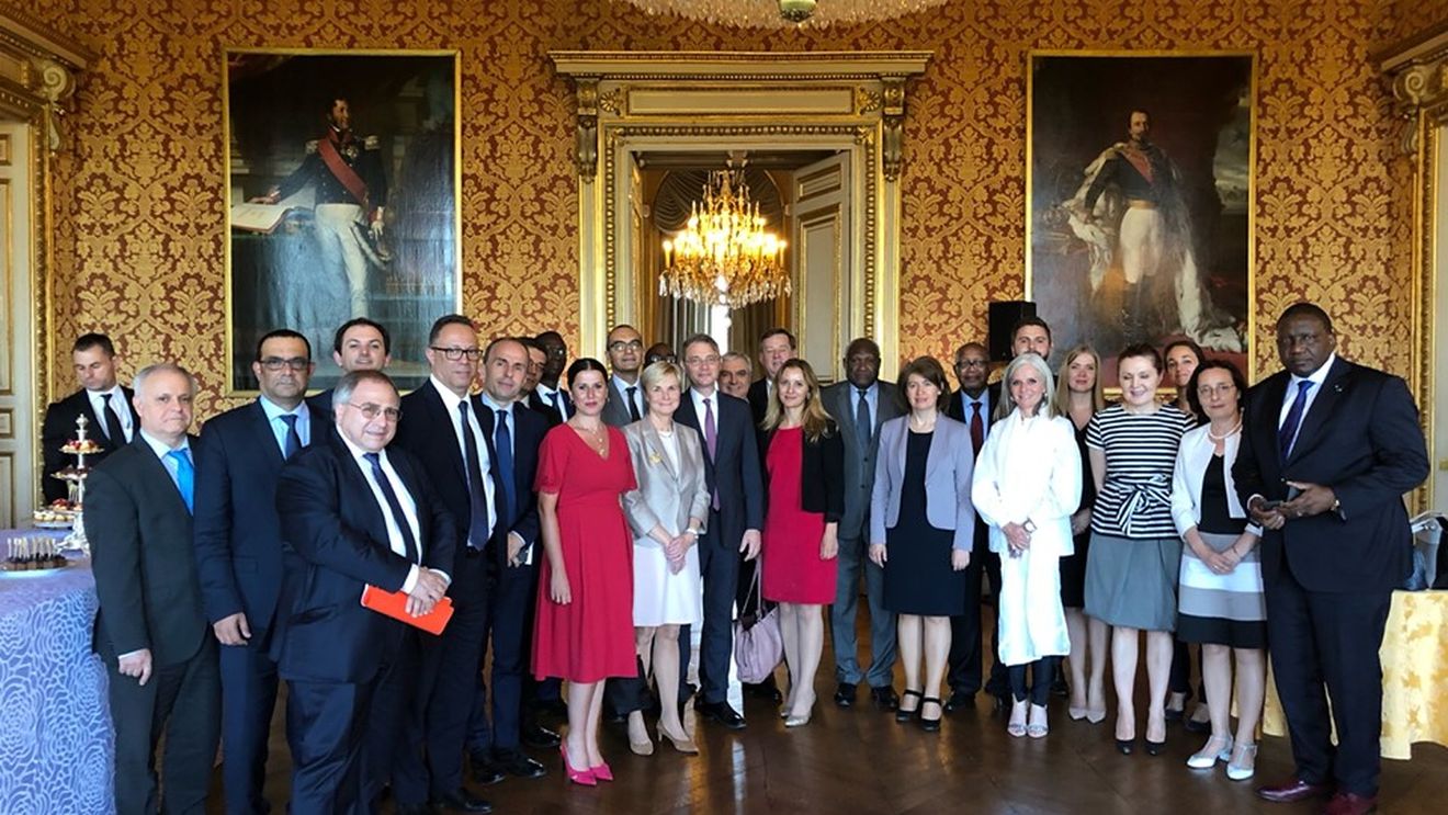 Ambasadorul Luca Niculescu anunță că a fost reales președintele Grupului Ambasadorilor Francofoni