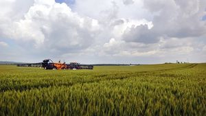 Cele mai scumpe şi cele mai ieftine terenuri din UE. Unde se plasează România
