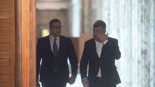 Purtătorul de cuvânt al Guvernului: Şeful demis al Secretariatului pentru revoluţionari a încălcat legea protecţiei datelor cu caracter personal