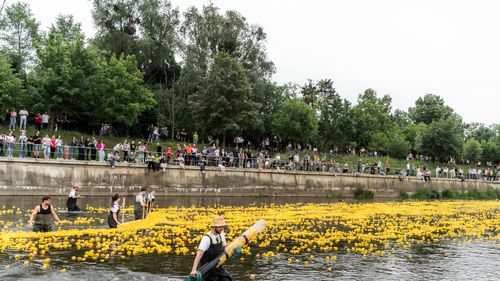Peste 10.000 de clujeni au contribuit la strângerea a 50.000 de euro pentru Centrul de Îngrijiri Paliative Pediatrice „Sf. Hristofor”, în urma unei competiții de rățuște pe Someș