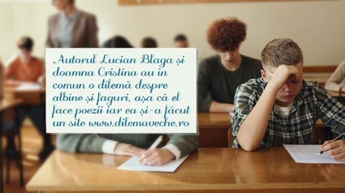 „Perle” la simularea de la Evaluarea Națională 2025. De la „emoția căsătoririi” cu un copac la renumita rimă „încrucită”