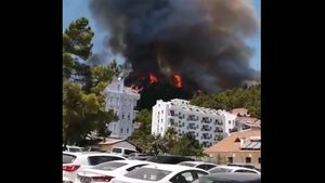 Turcia: Incendiile de vegetație continuă, 13 dintre acestea arzând în continuare necontrolat