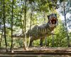 Parc cu dinozauri în mărime naturală, SPA și bob de vară, construite la Ineu cu fonduri europene / Investiție de aproape un milion de euro – fonduri europene