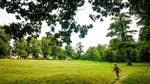 Parcul „Sub Arini” din Sibiu, reamenajat cu 3,3 milioane euro fonduri europene