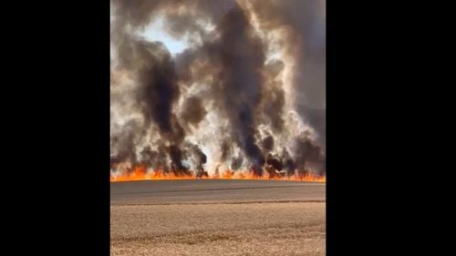 VIDEO Incendiu violent într-un câmp, în județul Timiș