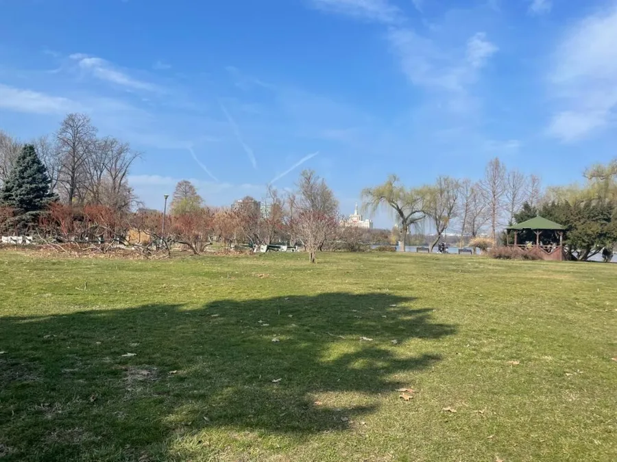 Peluze curățate Parcul Herăstrău (Regele Mihai I)