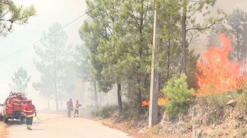 Incendiul devastator din 2017 din Portugalia: toți inculpații au fost achitați