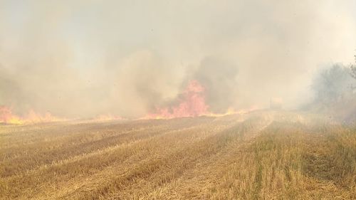 VIDEO Incendiu uriaș în apropiere de Aiud. Un utilaj agricol a luat foc, iar flăcările s-au extins la baloții de paie din apropiere