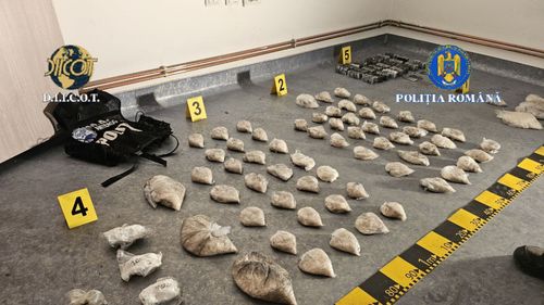 VIDEO FOTO 10 kilograme de drog de mare risc și 500 de grame cocaină, îngropate de traficanții de droguri la Pitești