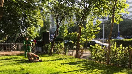 Vouchere de până la 2.500 lei, unelte, mașină de tuns iarba, gazon și plante pentru asociaţiile de proprietari care doresc amenajarea curţilor de la blocurile din Sectorul 6 al Capitalei / Care sunt condițiile