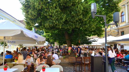 Orice creştere de TVA va închide multe afaceri din industria ospitalităţii din România, transmite Federaţia Patronatelor din Industria Ospitalităţii