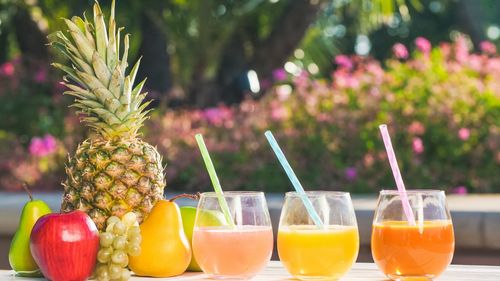 Paiele de băut "ecologice" ar putea fi la fel de dăunătoare pentru mediu ca paiele din plastic, atenționează cercetătorii belgieni 