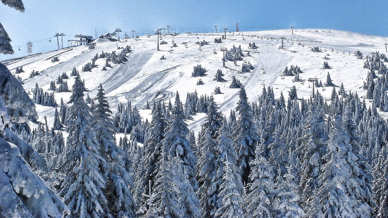 Fără zăpadă în Munţii Banatului, bănăţenii iubitori de schi iau drumul Serbiei. Kopaonik oferă 62 de kilometri de pârtii, preţuri mai mici şi drum scurt