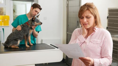 RSPCA: Peste jumătate dintre stăpânii de animale nu știu cum vor plăti următoarea factură la veterinar