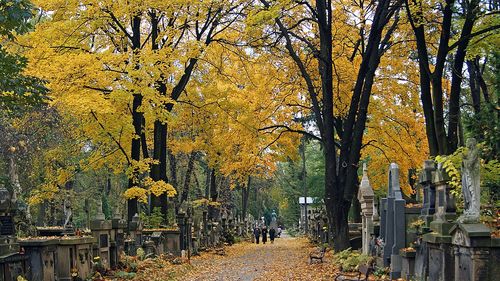 Polonia deschide centre de vaccinare împotriva COVID-19 în apropierea cimitirelor pentru cei care își vizitează persoanele dragi